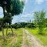  Land for sale in Mueang Kaeo, Mae Rim, Mueang Kaeo