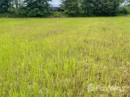 ขายที่ดิน ใน นาแส่ง, ลำปาง, นาแส่ง, เกาะคา, ลำปาง, ไทย