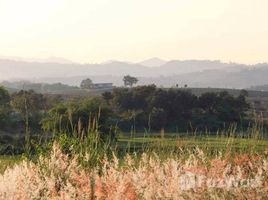 ขายที่ดิน ใน ป่าซาง, เชียงราย, ป่าซาง, แม่จัน