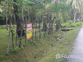  Land for sale in Lampung, Pesisir Tengah, Lampung Barat, Lampung