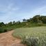  Land for sale in Phuket, Mai Khao, Thalang, Phuket