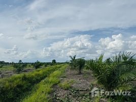  Grundstück zu verkaufen in Si Thep, Phetchabun, Sa Kruat, Si Thep, Phetchabun