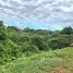  Land for sale in Puntarenas, Osa, Puntarenas