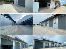 1 Bedroom Warehouse for rent in Samut Sakhon, Na Di, Mueang Samut Sakhon, Samut Sakhon