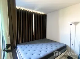 คอนโด 1 ห้องนอน ให้เช่า ในโครงการ แอทโมซ ทรอปิคาน่า บางนา, บางนา, บางนา, กรุงเทพมหานคร