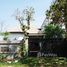 3 chambres Villa a vendre à Kok Chak, Siem Reap Other-KH-62356