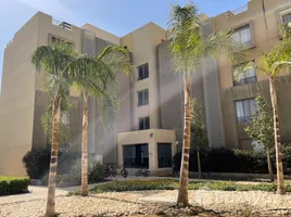 3 Bedroom Apartment for sale at Palm Parks Palm Hills, South Dahshur Link