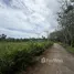  Land for sale in Chak Phong, Rayong, Chak Phong, Klaeng