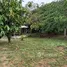  Land for sale in Amazonas, Rio Preto Da Eva, Amazonas