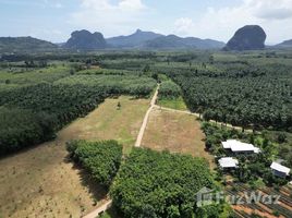  Land for sale at Prime Land for Sale in Nong Thale Krabi, Nong Thale