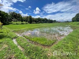  Land for sale in Chiang Mai, Huai Sai, Mae Rim, Chiang Mai