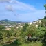 Land for sale in Bo Phut, Surat Thani, Bo Phut, Koh Samui, Surat Thani, Thailand