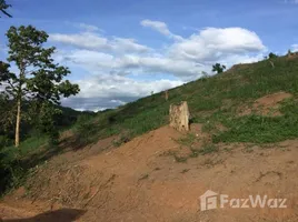  Grundstück zu verkaufen in Pai, Mae Hong Son, Wiang Nuea, Pai