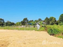  Земельный участок for sale in San Mahaphon, Mae Taeng, San Mahaphon