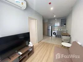 1 Bedroom Condo for rent at Skyrise Avenue Sukhumvit 64, Bang Chak, Phra Khanong, Bangkok, Thailand