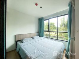 1 Bedroom Condo for sale at Centrio, Wichit, Phuket Town