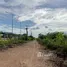  Land for sale in Khlong Hok, Pathum Thani, Khlong Hok, Khlong Luang, Pathum Thani, Thailand