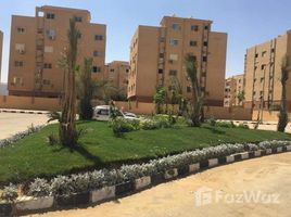 3 غرفة نوم شقة للبيع في Tiba Gardens, Northern Expansions