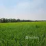  Land for sale in Khlong Luang Pathum Thani, Khlong Nueng, Khlong Luang, Pathum Thani