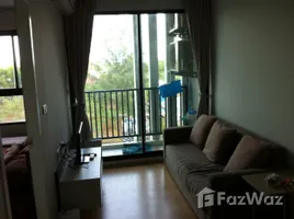 คอนโด 1 ห้องนอน ให้เช่า ในโครงการ ซีเคป 1, เชิงทะเล, ถลาง