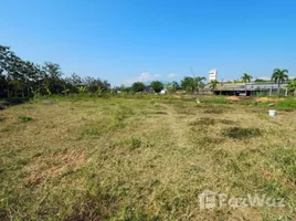 ขายที่ดิน ใน ท่าวังตาล, เชียงใหม่, ท่าวังตาล