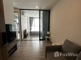 คอนโด 1 ห้องนอน ให้เช่า ในโครงการ ไนท์บริดจ์ คอลลาจ สุขุมวิท 107, บางนา, บางนา