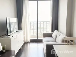 ขายคอนโด 1 ห้องนอน ในโครงการ ซี เอกมัย, คลองตันเหนือ