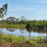  Land for sale in Nakhon Ratchasima, Nai Mueang, Phimai, Nakhon Ratchasima