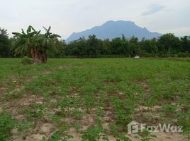  Land for sale in Chiang Dao, Chiang Mai, Mae Na, Chiang Dao