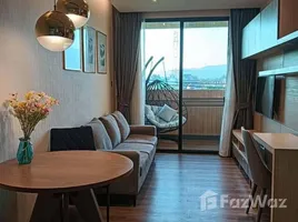 1 침실 Pool Suite 에서 판매하는 콘도, Mae Hia, Mueang Chiang Mai, 치앙마이, 태국