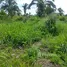  Land for sale in Novo Aripuana, Novo Aripuana, Novo Aripuana