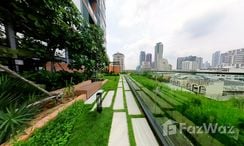 Photo 2 of the Communal Garden Area at The Lofts Silom
