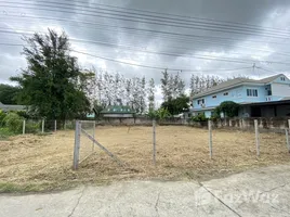  Terrain for sale in Chiang Mai, Tha Sala, Mueang Chiang Mai, Chiang Mai