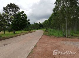  Terreno (Parcela) en venta en Nong Ki, Kabin Buri, Nong Ki