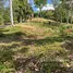  Land for sale in Thalang Phuket, Choeng Thale, Thalang, Phuket
