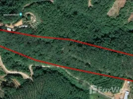  Land for sale in Phangnga, Khlong Khian, Takua Thung, Phangnga