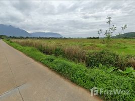  Land for sale in Chiang Mai, Chiang Dao, Chiang Dao, Chiang Mai
