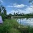  Land for sale in Samut Sakhon, Lak Sam, Ban Phaeo, Samut Sakhon