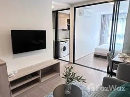 1 Bedroom Condo for rent at THE BASE Bukit, Wichit, Phuket Town, Phuket, Thailand