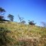  Terrain for sale in Tilaran, Guanacaste, Tilaran