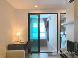 1 Bedroom Apartment for rent at Notting Hill Sukhumvit 105, Bang Na, Bang Na