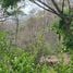  Terreno (Parcela) en venta en Garabito, Puntarenas, Garabito