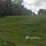  Land for sale at Casablanca, Maria Pinto, Melipilla