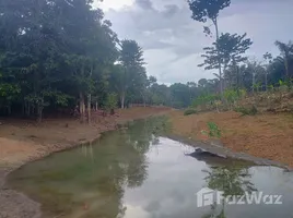  Terreno (Parcela) en venta en Autazes, Amazonas, Autazes