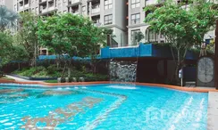 图片 3 of the Communal Pool at La Habana