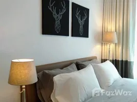 อพาร์ทเม้นท์ 1 ห้องนอน ให้เช่า ในโครงการ ไลฟ์ อโศก, บางกะปิ