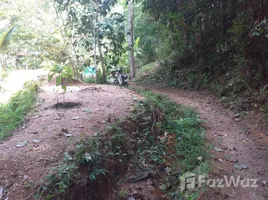  Grundstück zu verkaufen in Thalang, Phuket, Choeng Thale