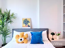 อพาร์ทเม้นท์ 1 ห้องนอน ให้เช่า ในโครงการ เดอะ เบส สุขุมวิท 77, พระโขนงเหนือ