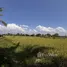  Land for sale in Chiang Mai, Pa Pong, Doi Saket, Chiang Mai