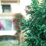 1 Habitación Apartamento en venta en Veranda Sahl Hasheesh Resort, Sahl Hasheesh